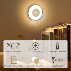 motion sensor light