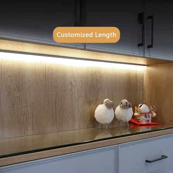 kitchen corner shelf lighting